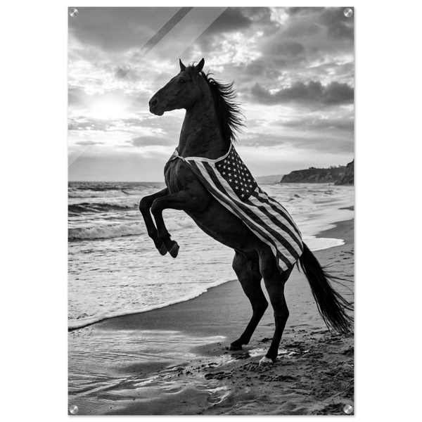 American Black Horse - Acrylic