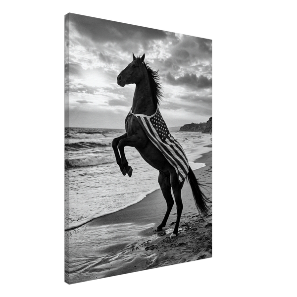 American Black Horse